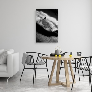 Tablou canvas - Echitatie, Freeride, Schi, Iarna, Tignes, Franta, 40 x 60 cm - Img 4