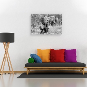 Tablou canvas - Elefamily, Elefant, Tanzania, Animale, Mamifere, Natura, 60 x 90 cm - Img 2
