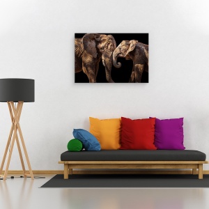 Tablou canvas - Elefanti, Dragoste, Licitatie, Tandrete, 80 x 120 cm - Img 2