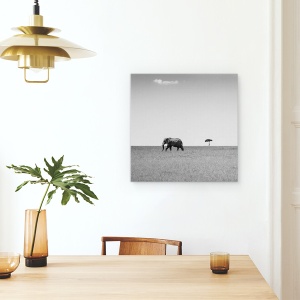 Tablou canvas - Elefantul Si Norul Prietenos, Salbatic, Natura, Animal, 60 x 60 cm - Img 4