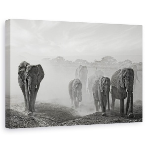 Tablou canvas - Emotie de o clipa, Nature, Elefanti, Salbatice, Kenya, 80 x 120 cm