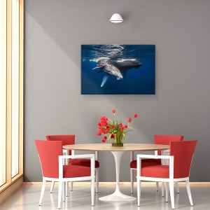 Tablou canvas - Familia Balenelor Cu Cocoasa, Sub Apa, 40 x 60 cm - Img 4