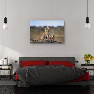 Tablou canvas - Familie de gheparzi, Nature, Prietenie, Natura, Camuflaj, 80 x 120 cm - Img 3