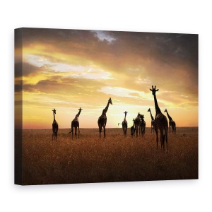 Tablou canvas - Familie, Girafa, Girafe, Apus De Soare, Peisaj, Salbatic, 75 x 100 cm