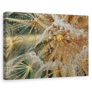 Tablou canvas - Fara stele, Flori, Picaturi, Roua, Pene, 80 x 120 cm