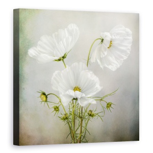 Tablou Canvas - Farmecul Cosmosului, Trio, Alb, Vintage, 90 x 90 cm