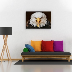 Tablou canvas - Ferocitate, Animal, Vultur, Feroce, 40 x 60 cm - Img 2