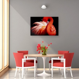 Tablou canvas - Flamingo, Pasare, Rosu, Ochi, Privire, 80 x 120 cm - Img 4