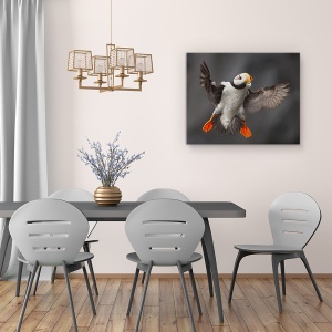 Tablou canvas - Flapsurile Complete, Puffin, Salbatic, Natura, 60 x 75 cm - Img 4