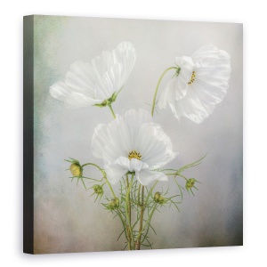 Tablou canvas - Floare Alba, Primavara, Pictura, 60 x 60 cm
