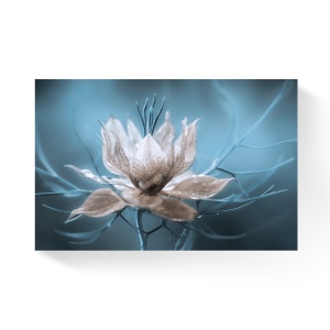 Tablou Canvas - Floare de gheata, Flori, 80 x 120 cm