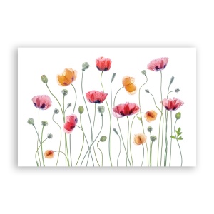 Tablou Canvas - Floral, Flori de maci, Pictura, Primavara, 40 x 60 cm