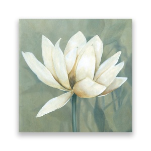 Tablou Canvas - Floral, Flori, Magnolia, Pictura, Alb, 60 x 60 cm