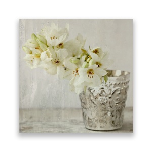 Tablou Canvas - Floral, Narcis, Alb, Vasa, 60 x 60 cm