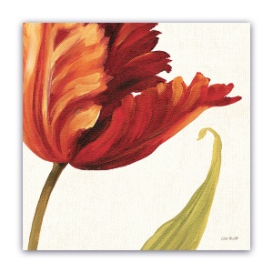 Tablou Canvas - Flori, Lalea 60 x 60 cm