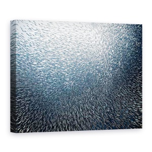 Tablou Canvas - Foc De Artificii, Sardine, Ocean, Peste, Marina, Filipine, 75 x 100 cm