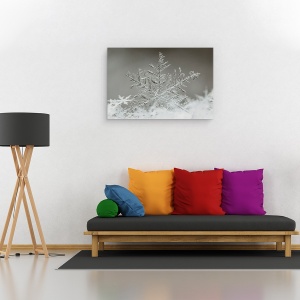 Tablou canvas - Fulg De Nea, Gheata, Inghet, 40 x 60 cm - Img 2