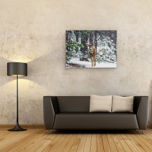 Tablou canvas - Furtuna De Zapada Si Cerbul, Caprioara, Munti, California, 60 x 80 cm - Img 2