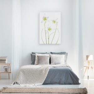 Tablou canvas - Galanthus Flore Pleno, Punct, Floare, Alb, 40 x 60 cm - Img 3