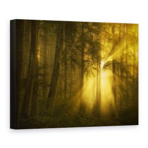 Tablou canvas - Galben, Peisaj, Soare, Dimineata, Rasarit De Soare, 50 x 70 cm