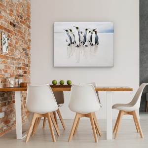 Tablou Canvas - Garda De Corp, Natura, Animal, Pinguin, Salbatic, Plaja, 50 x 70 cm - Img 4