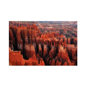 Tablou Canvas - Grand Canyon, Natura, Peisaj 60 x 90 cm