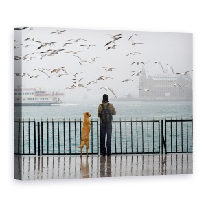 Tablou canvas - Grija, In Fiecare Zi, Turist, Pescarus, Mare, 60 x 80 cm