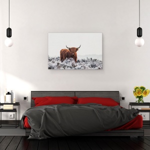 Tablou canvas - Highlander, Bizon, Buffalo, Blana, Animal, 60 x 90 cm - Img 3