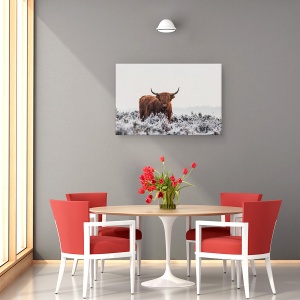 Tablou canvas - Highlander, Bizon, Buffalo, Blana, Animal, 80 x 120 cm - Img 4