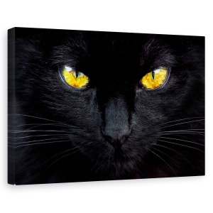 Tablou canvas - Hipnotizatorul noptii, Animal, Ochi, Privire, Ghepard, 40 x 60 cm
