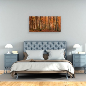 Tablou canvas - Iarna, Peisaj, Padure, Toamna, 50 x 100 cm - Img 3
