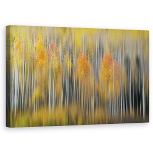 Tablou canvas - Impresie De Toamna 2, Aspen, Colorado, 50 x 80 cm