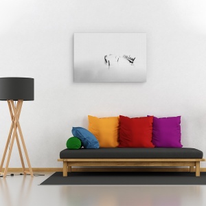 Tablou canvas - In Ceata, Vapor, Epava, Apa, Peisaj, Ocean, 40 x 60 cm - Img 2