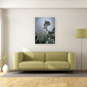 Tablou canvas - In Ciuda Greutatilor, Peisaj, Copac, Bonsai, Munte, Panta, 50 x 70 cm - Img 2
