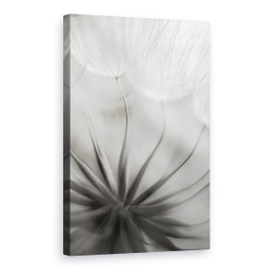 Tablou canvas - In Inima, Papadie, Seminte, Moale, Alb-Negru, Floare, 40 x 60 cm