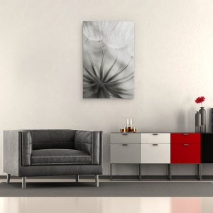 Tablou canvas - In Inima, Papadie, Seminte, Moale, Alb-Negru, Floare, 40 x 60 cm - Img 4