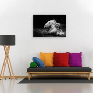 Tablou canvas - In Miscare, Salbatic, Lebada, Rata, Cioc, 60 x 90 cm - Img 2