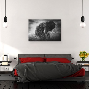 Tablou canvas - Incarca, Colti, Big, Urias, Maiestuos, Puternic, 40 x 60 cm - Img 3