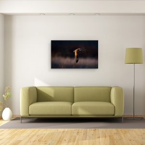 Tablou canvas - Infruntare, Pasare, Bufnita, Apus De Soare, Zbor, Salbatic, 50 x 80 cm - Img 2