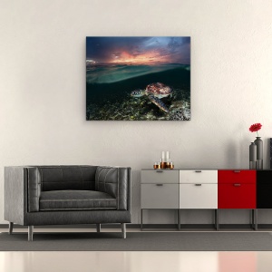 Tablou canvas - Inotand In Apus, Mare, Filipine, Testoasa De Mare, 60 x 75 cm - Img 2