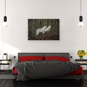 Tablou canvas - Intalnire Cu Lupii Albi, Lupi, Animale, Lup, Padure, Salbatic, Alb, 80 x 120 cm - Img 3