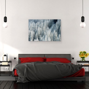 Tablou canvas - Intalnire, Peisaj, Copac, Pin, Brad, Inghet, 40 x 60 cm - Img 3
