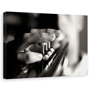 Tablou canvas - Jucator, Muzician, Trompeta, Instrument, Persoana, 40 x 60 cm