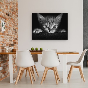 Tablou canvas - La Film, Pisica, Fereastra, Observare, 75 x 100 cm - Img 4