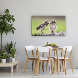 Tablou canvas - Lasa-Ma In Pace, Bufnita, Pasare, Natura, 50 x 80 cm - Img 4