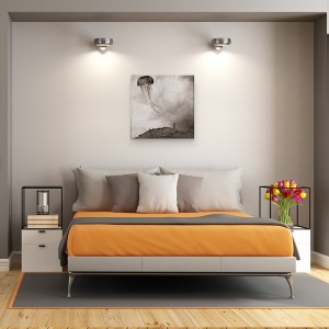 Tablou canvas - Legati, Meduze, Aplica, Lesa, Plumb, Zmee, 60 x 60 cm - Img 3