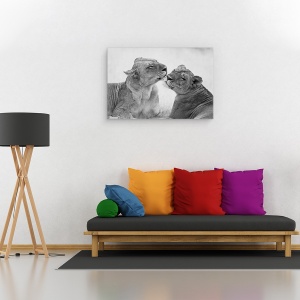 Tablou canvas - Lei In Alb-Negru, Zambia, Africa, Dragoste, 60 x 90 cm - Img 4