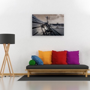 Tablou canvas - Lenes, Lusgard, Pisica, Istanbul, Strada, Pet, 60 x 90 cm - Img 2