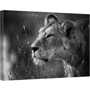 Tablou canvas - Leu, Leoaica, Felina, Fauna, Salbatic, Natura, 80 x 120 cm