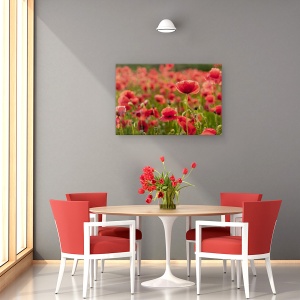 Tablou canvas - Lumina Din Spate, Maci, Rosu, Floare, Camp, 60 x 90 cm - Img 4